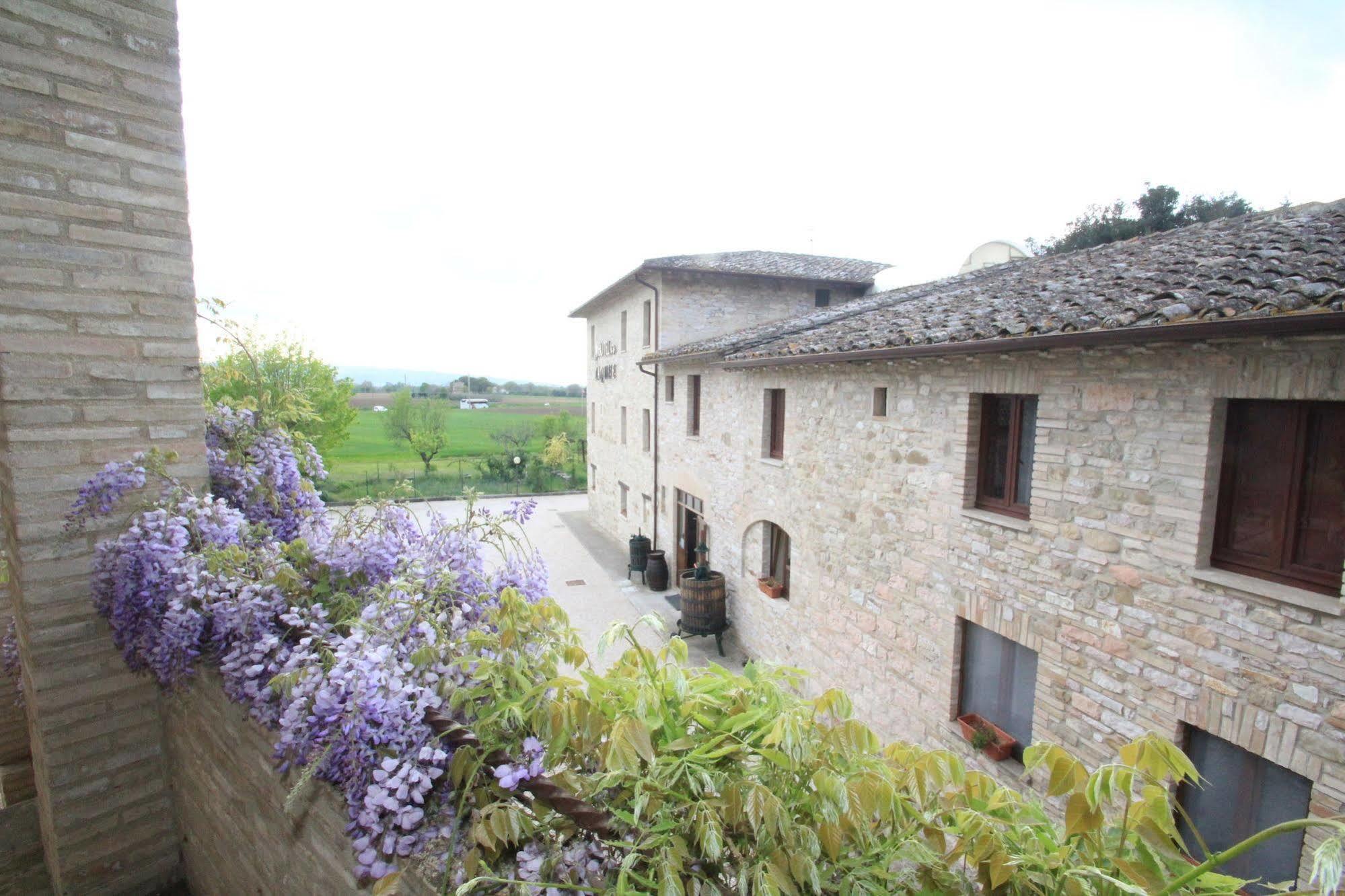 La Quiete Assisi