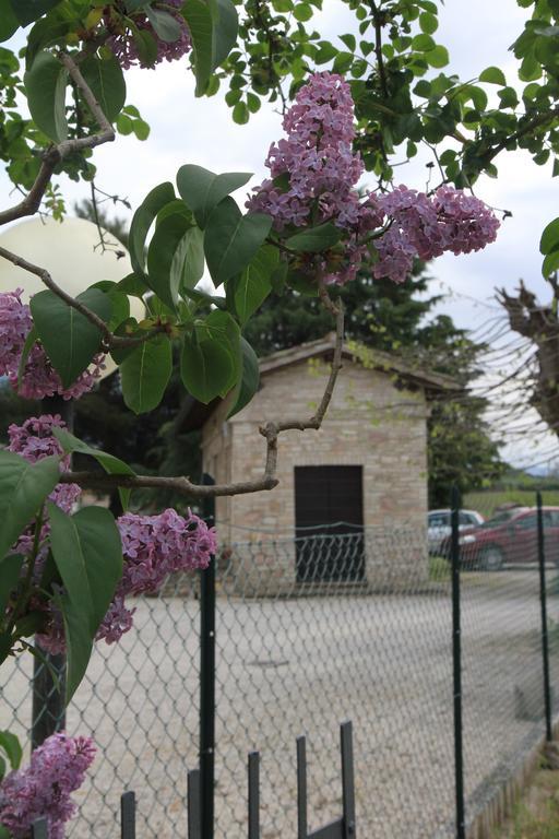 Hotel La Quiete 2*