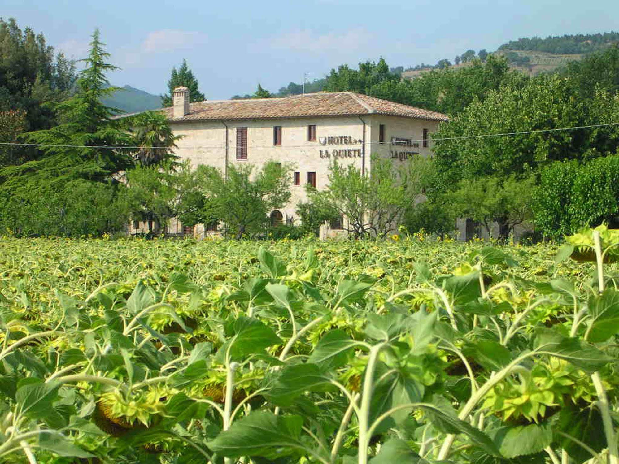 La Quiete Assisi