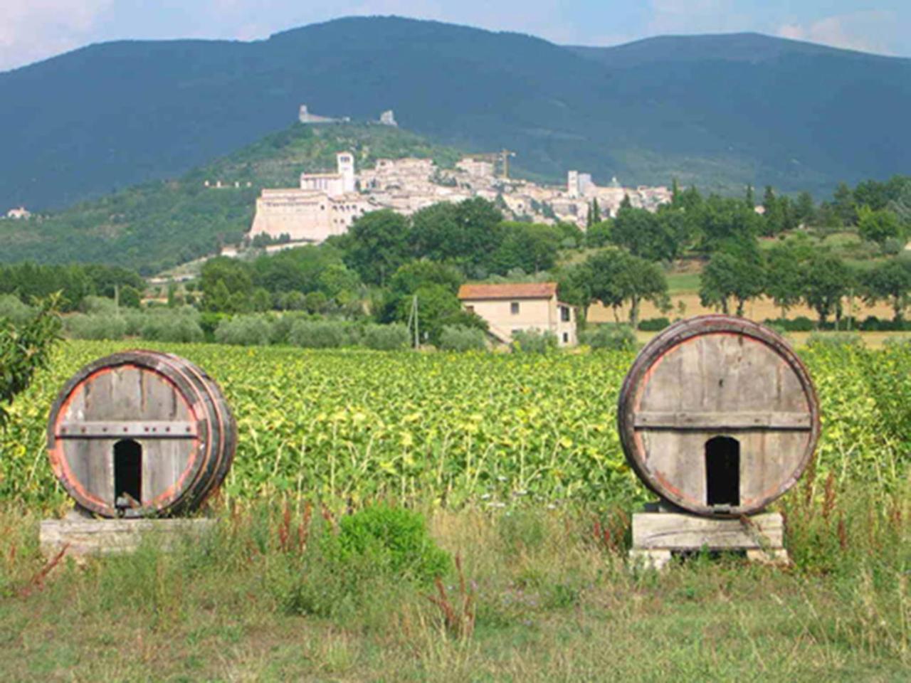 La Quiete 2* Assisi